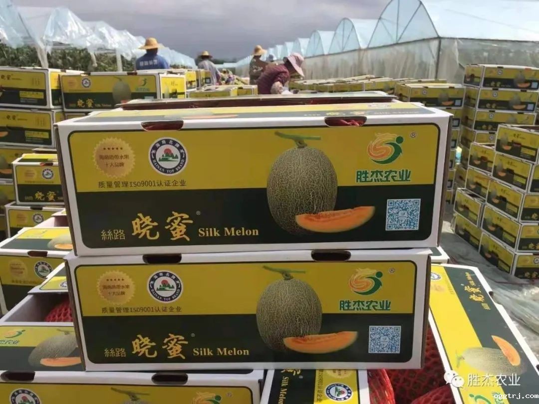 1628055110597608.jpg ia_100000011.jpg