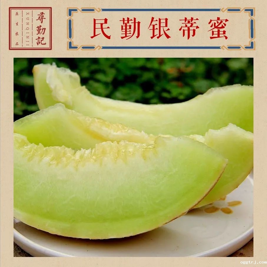 1628055156375573.jpg ia_100000013.jpg