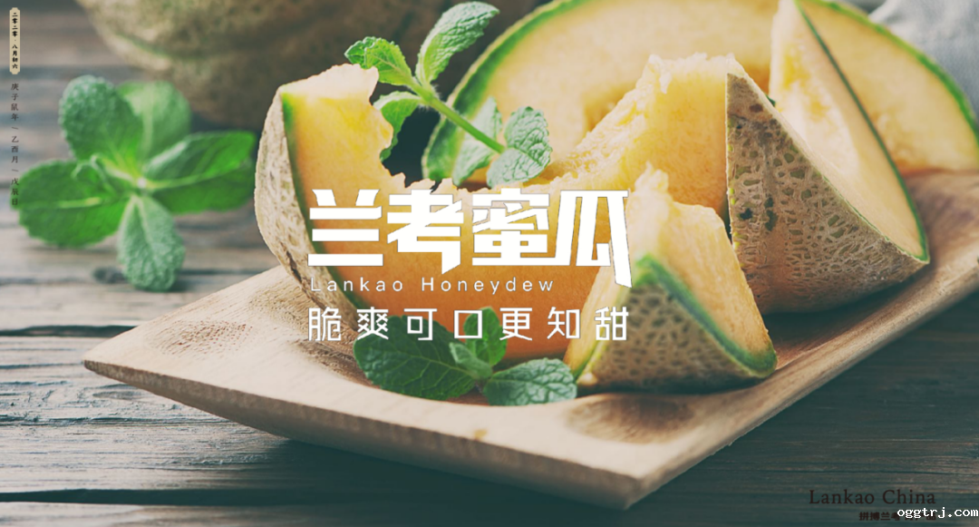 1628055172636862.png ia_100000014.png