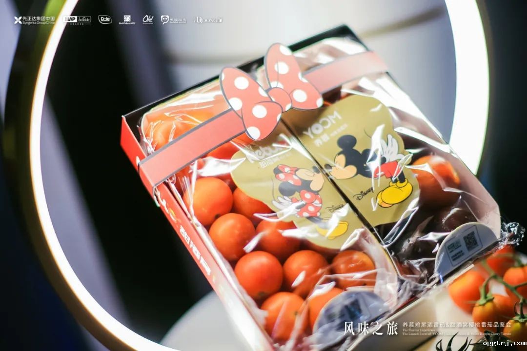 1628478654709048.jpg ia_100000000788.jpg