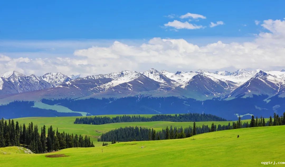 1628662176652349.jpg ia_600000007.jpg