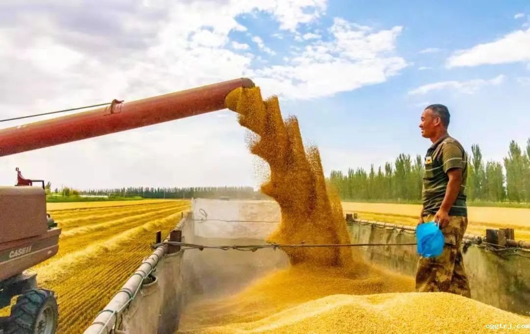 1628662221756952.jpg ia_600000027.jpg