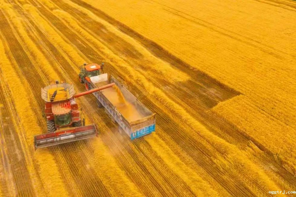 1628662233940362.jpg ia_600000026.jpg