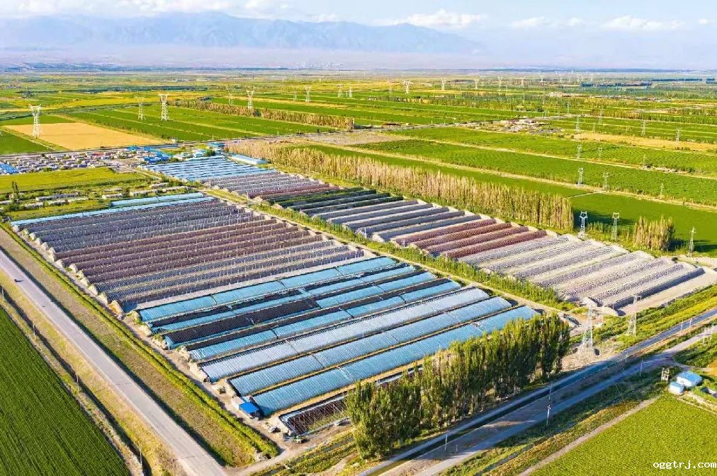 1628662245988391.jpg ia_600000025.jpg