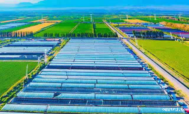 1628662279741922.png ia_600000023.png