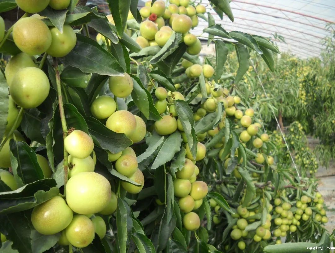 1628662326381721.jpg ia_600000523.jpg