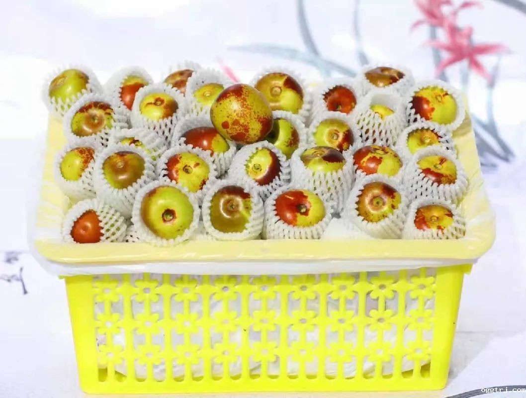 1628662402700246.jpg ia_600000015.jpg