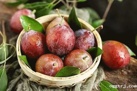 1628735453670972.gif ia_100000001.gif