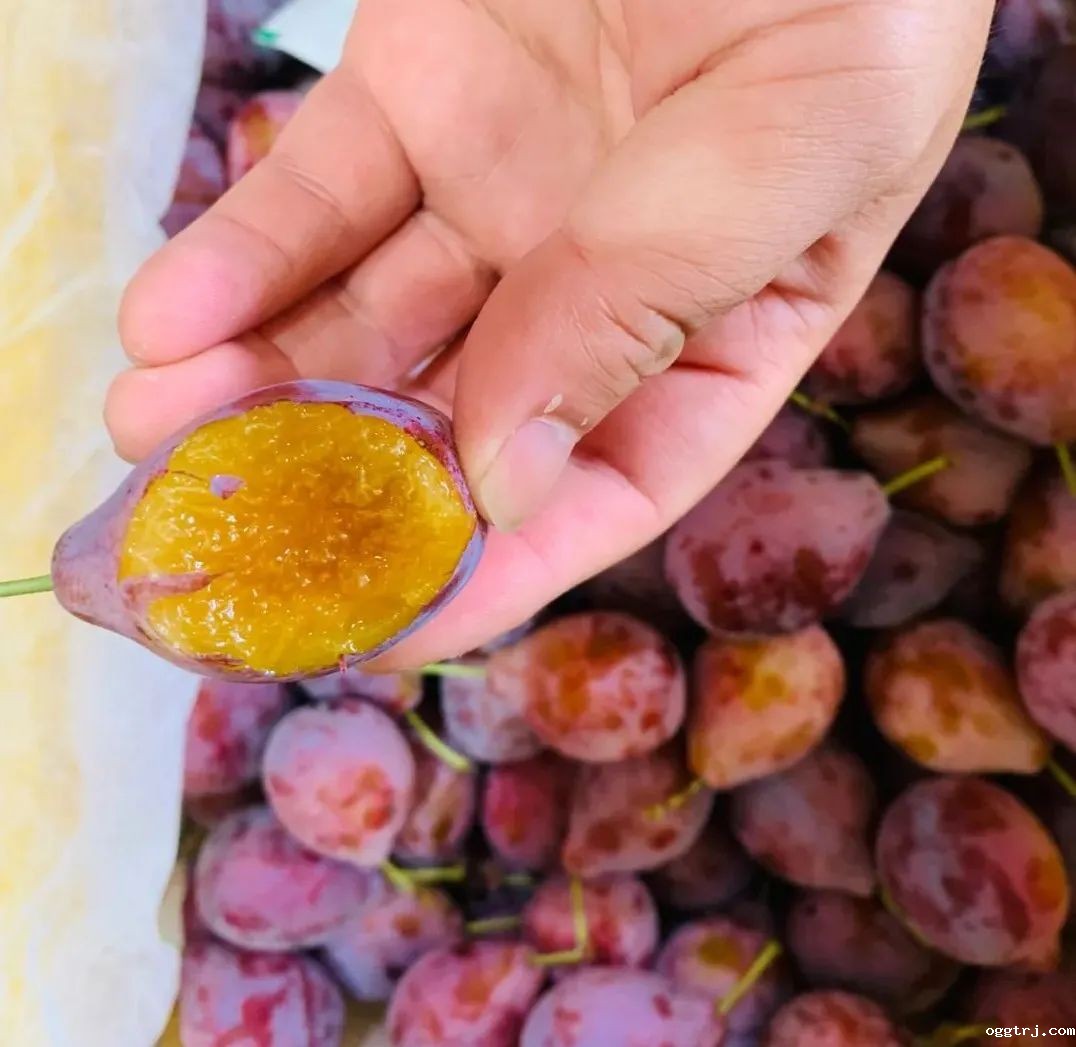 1628735548673252.jpg ia_100000003.jpg