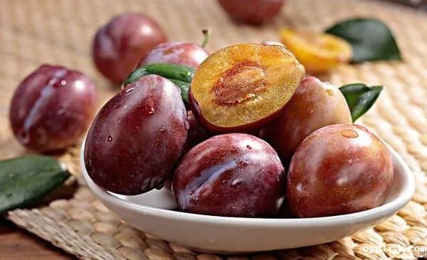 1628735714739713.jpg ia_100000551.jpg