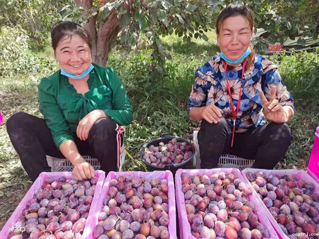 1628735922390652.jpg ia_100000553.jpg