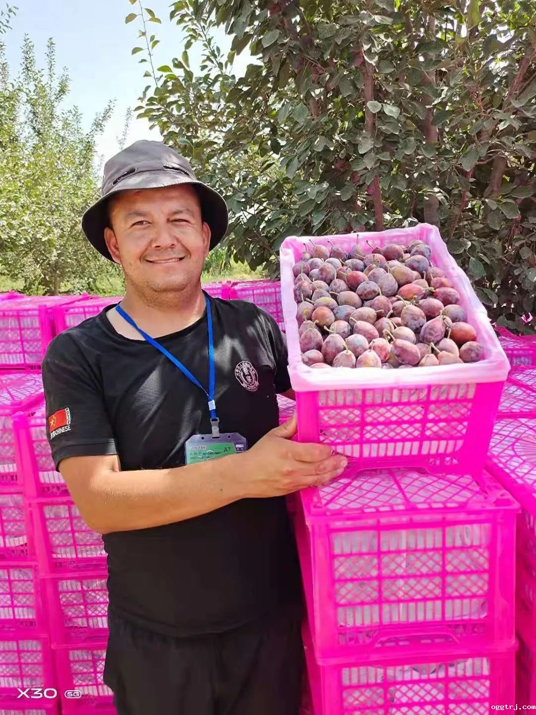 1628735937818929.jpg ia_100000554.jpg