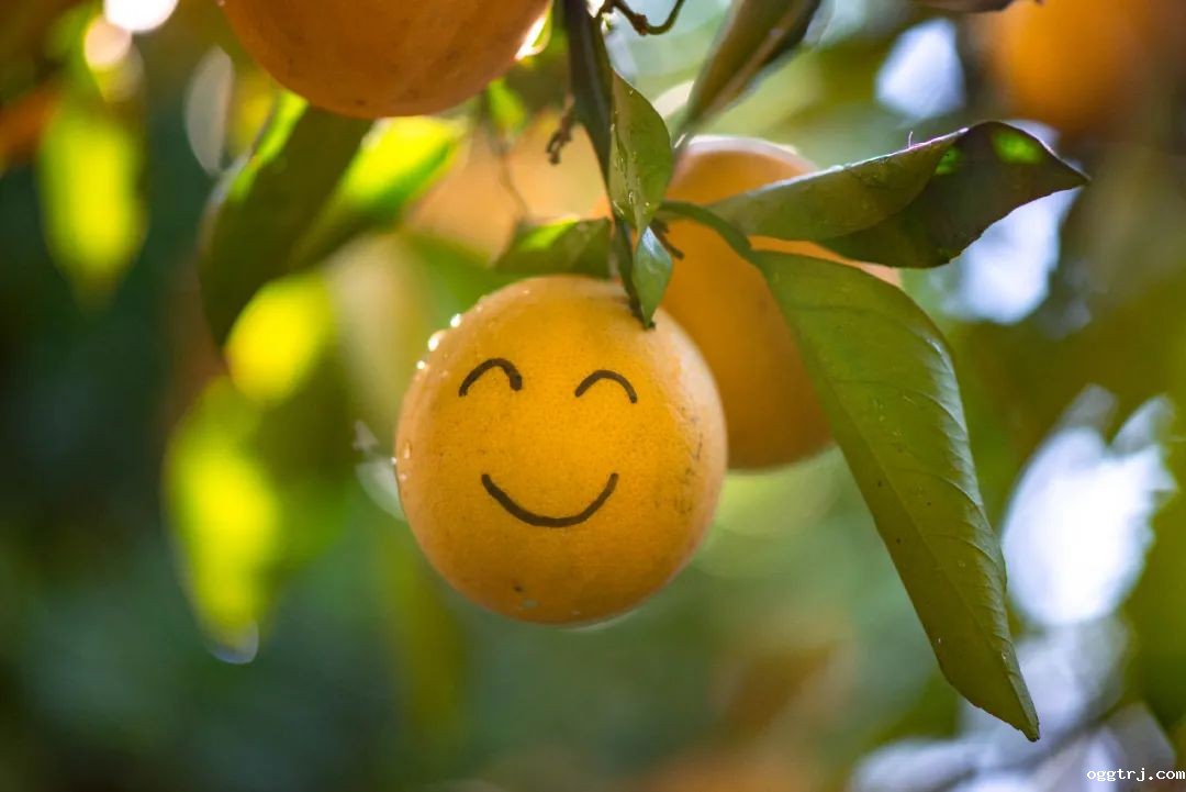 1628737341282139.jpg ia_300000001.jpg