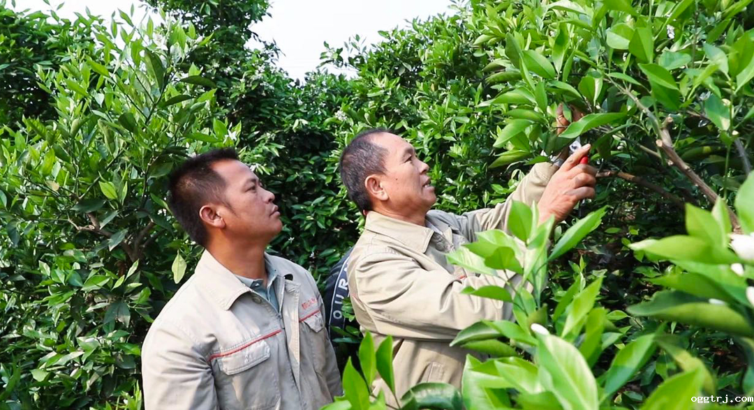 1628737508445458.png ia_300000505.png