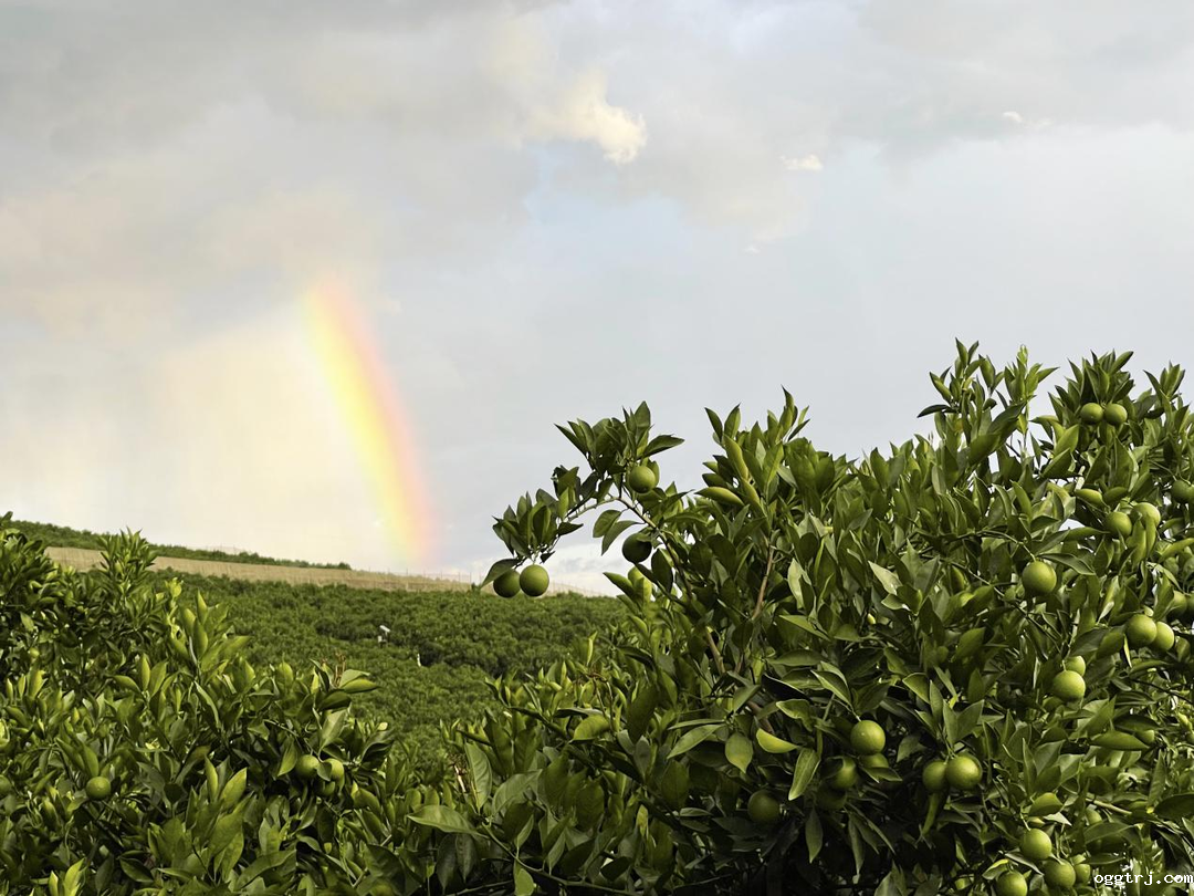 1628737637616667.png ia_300000006.png