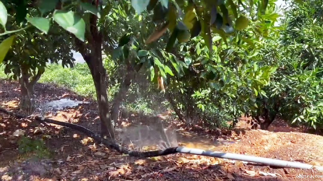 1628737664279082.png ia_300000504.png