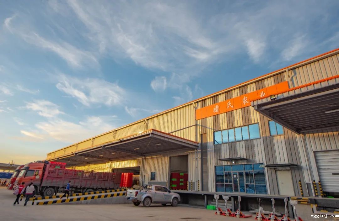 1628738627155344.jpg ia_400000001.jpg