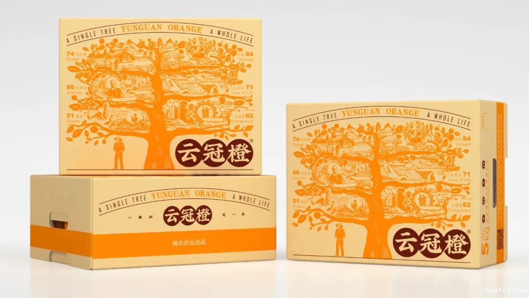 1628738693648116.jpg ia_400000666.jpg