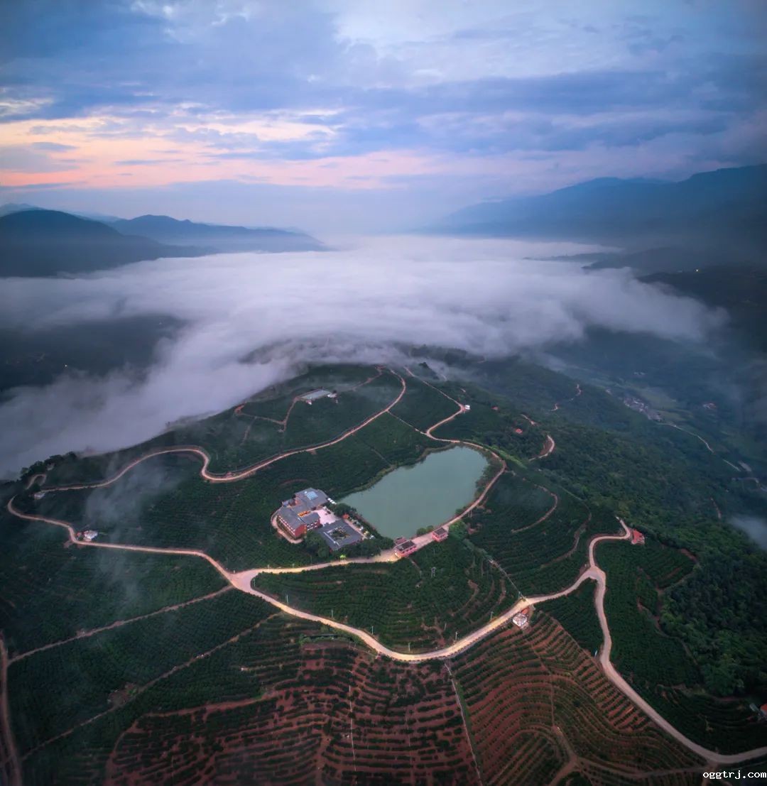 1628738720139186.jpg ia_400000667.jpg