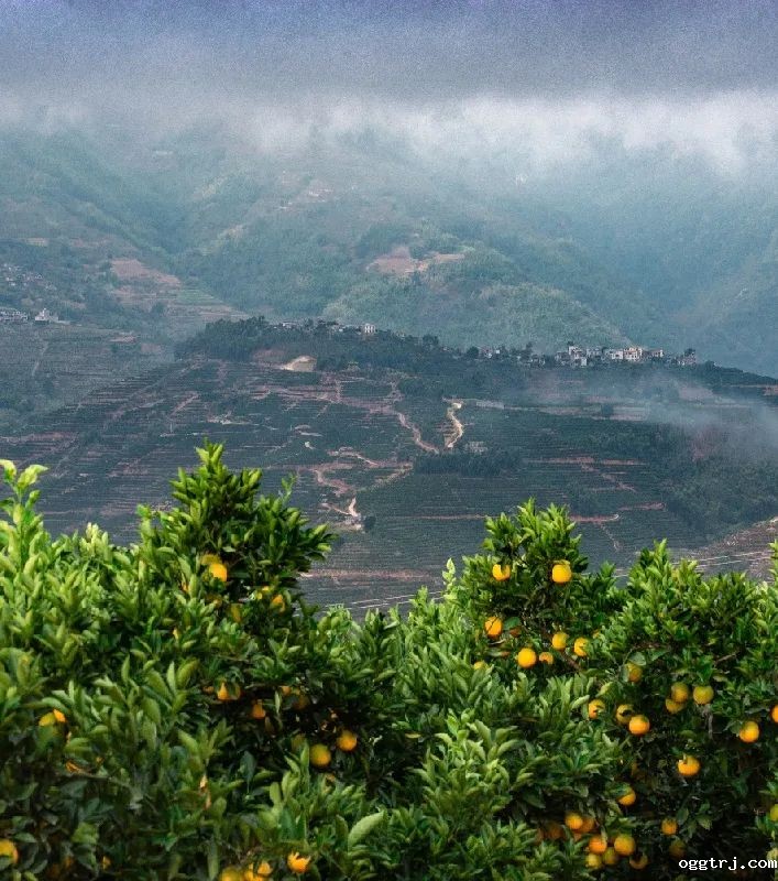 1628738759955740.jpg ia_400000669.jpg