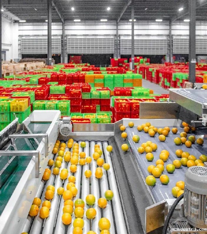 1628739620492754.jpg ia_400000674.jpg