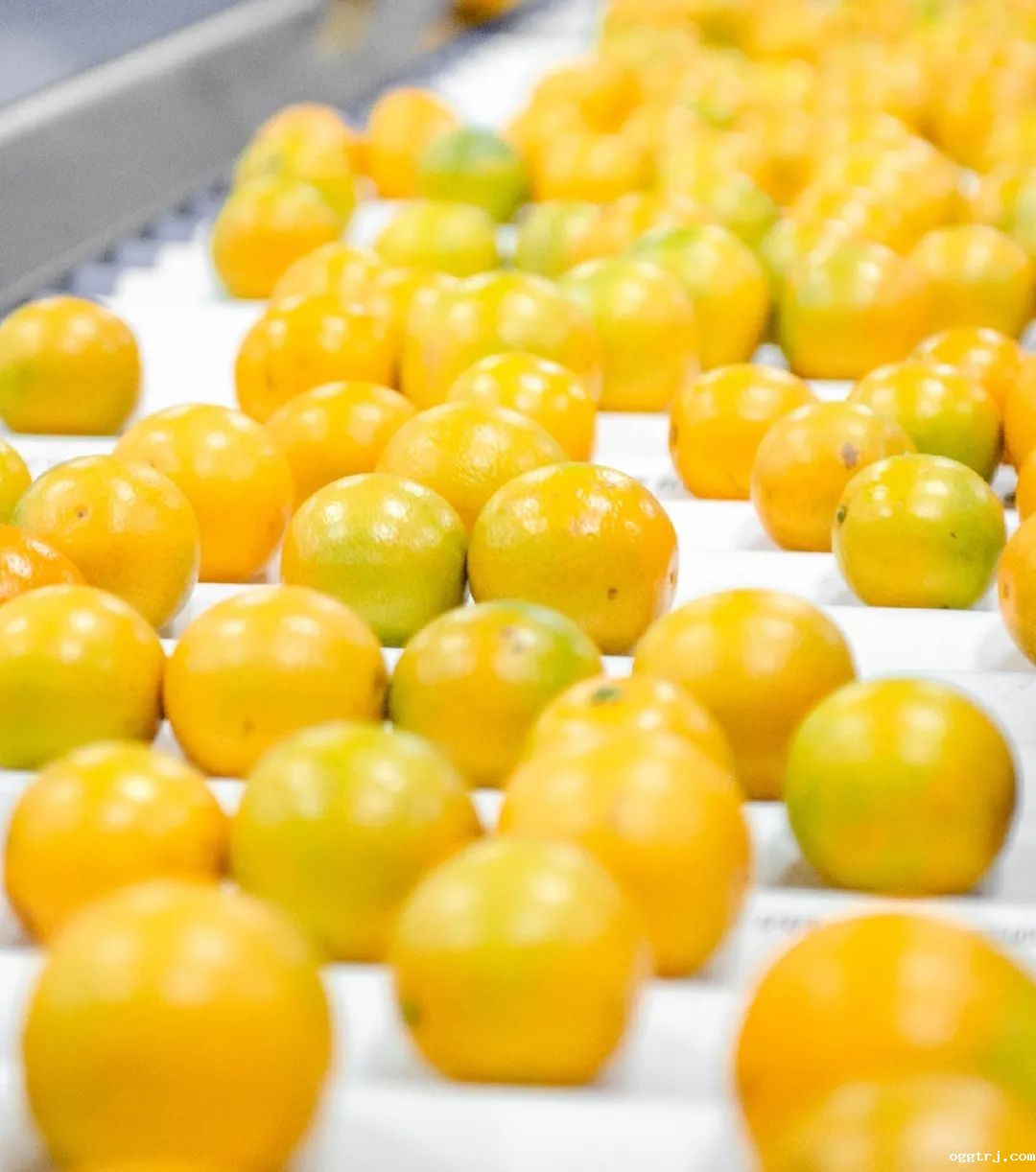 1628739629264032.jpg ia_400000675.jpg