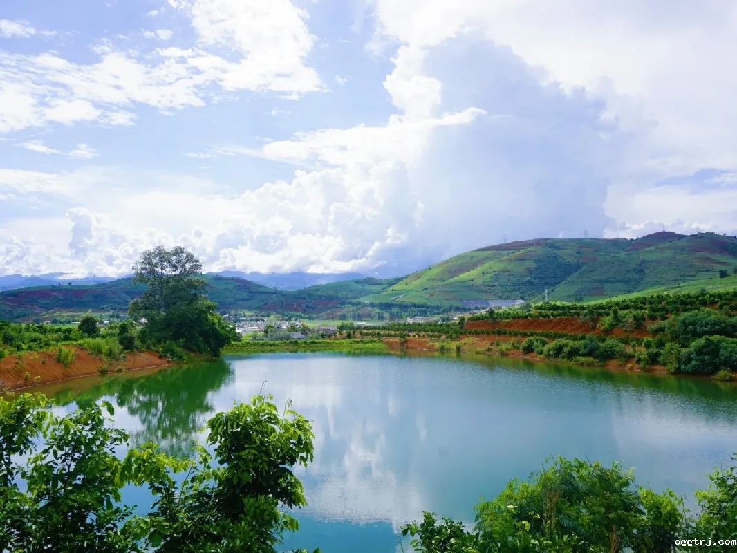 1628739773514205.jpg ia_400000677.jpg