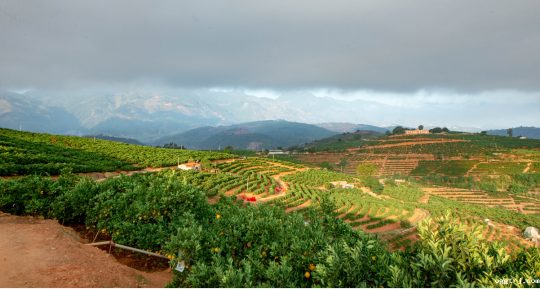 1628739821782540.png ia_400000003.png