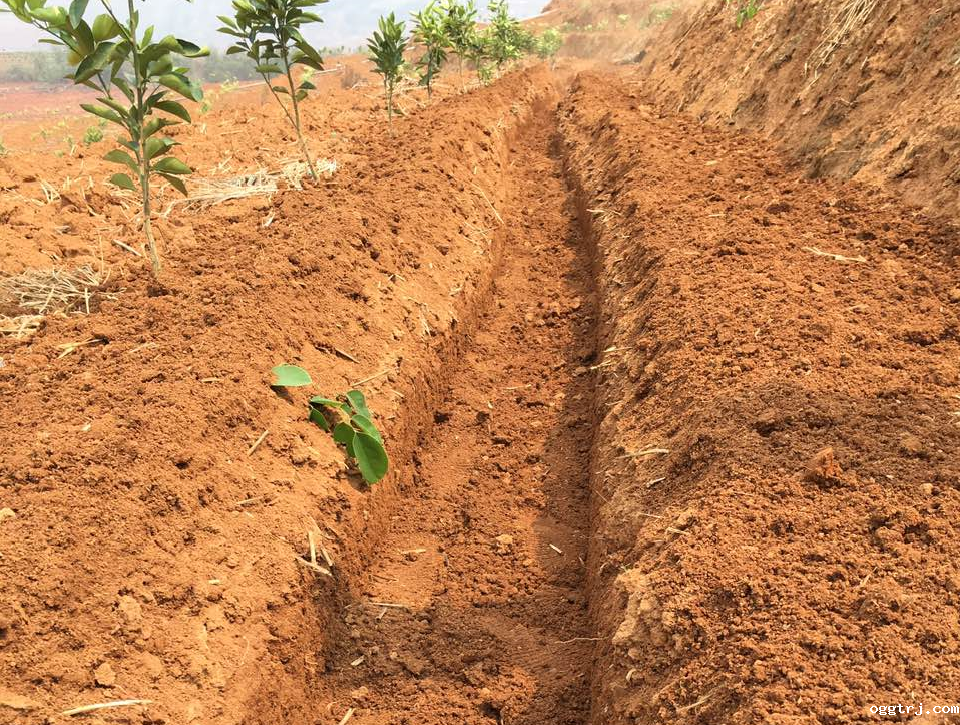 1628739839773243.png ia_400000021.png