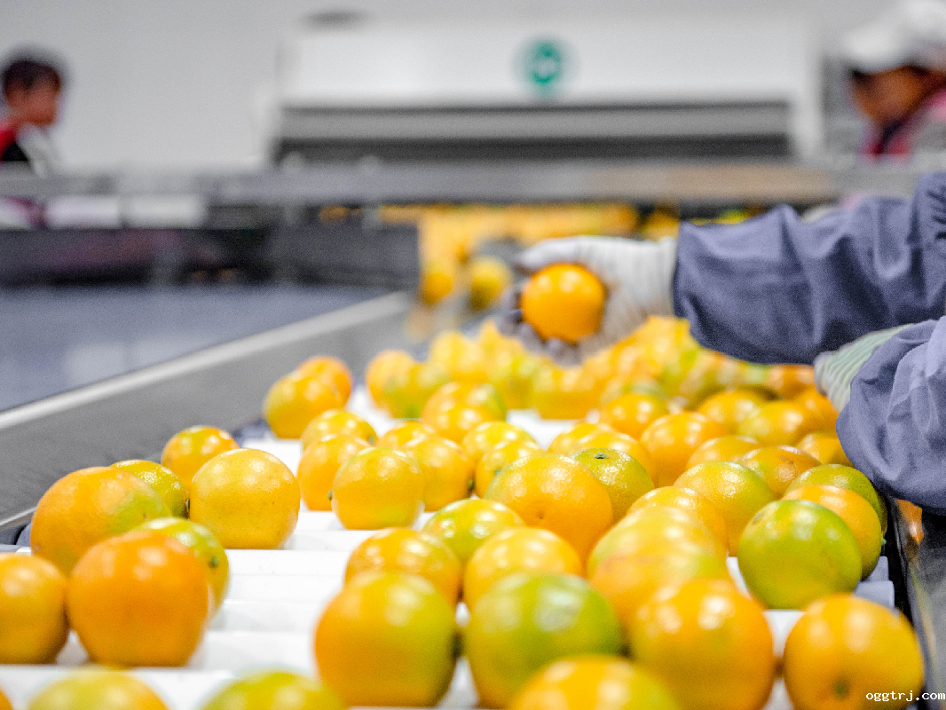 1628739871388329.png ia_400000022.png