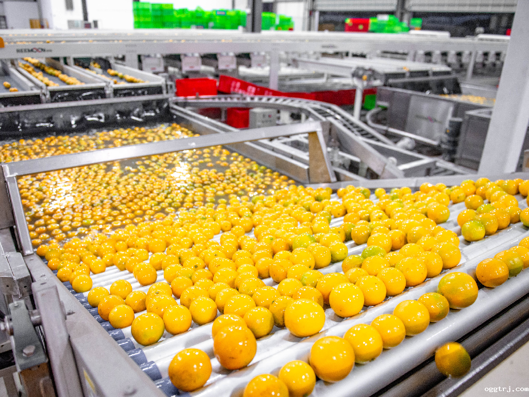 1628739884550450.png ia_400000023.png