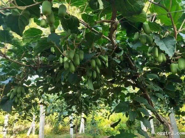 1629967119148079.jpg ia_100000004.jpg