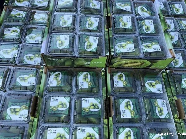 1629967141389077.jpg ia_100000001561.jpg