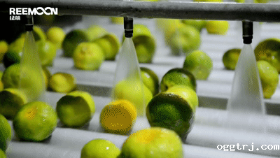 1629970078871671.gif ia_200000001.gif