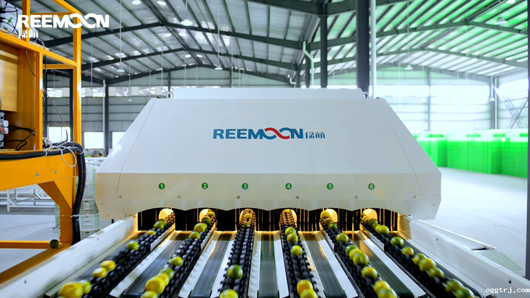 1629970173931984.png ia_200000004.png