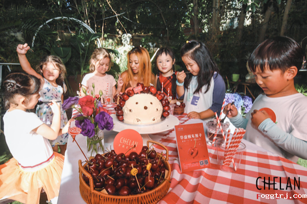 1630045123832503.png ia_300000483.png