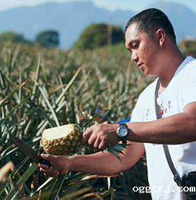 1630297690873226.png ia_100000669.png