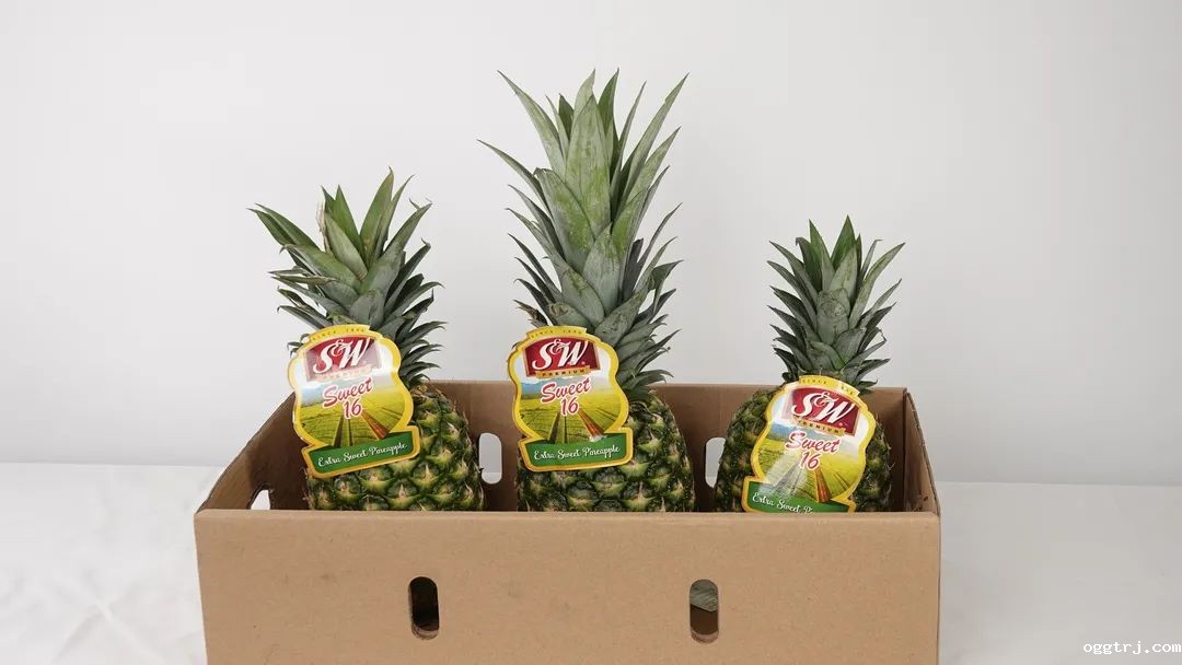 1630297742323433.jpg ia_100000013.jpg