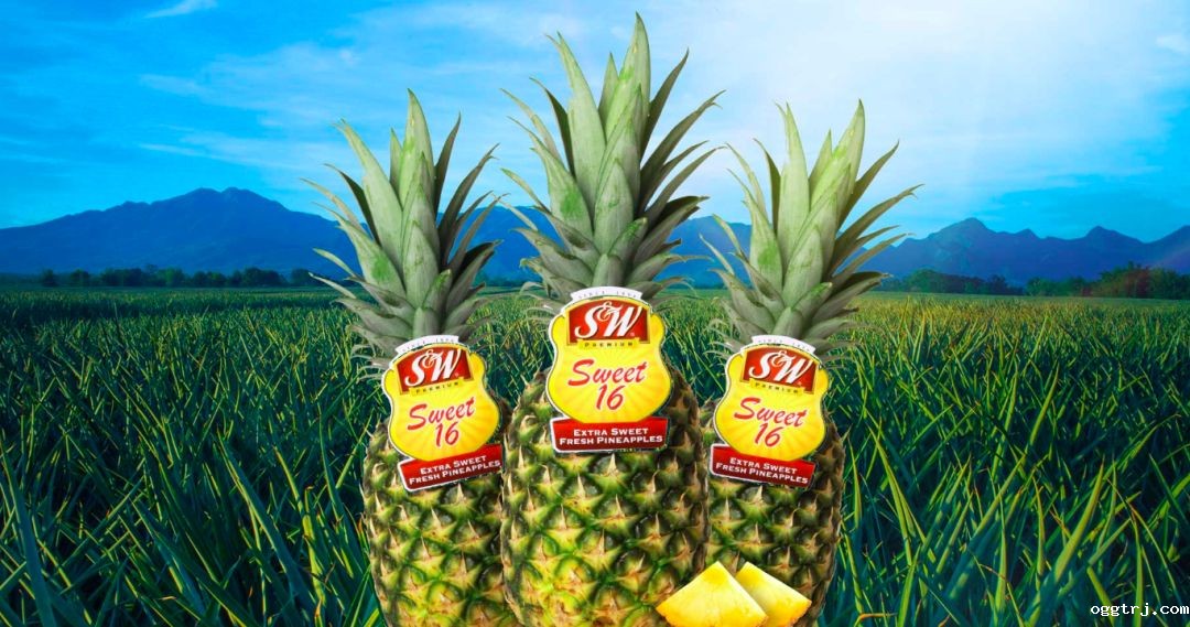 1630297835620964.jpg ia_100000015.jpg