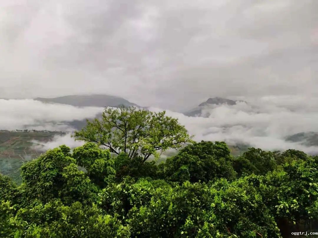 1630398839961973.jpg ia_500000691.jpg