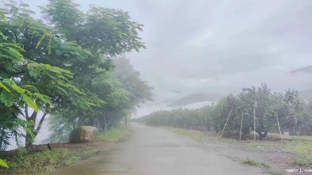 1630398893648952.jpg ia_500000006.jpg