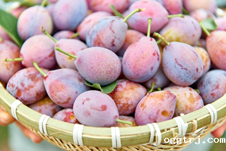 1630479398566908.png ia_100000004.png