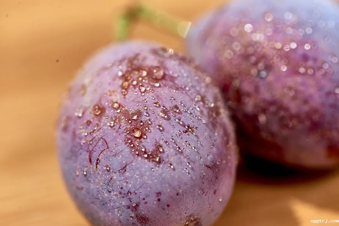 1630479530955468.jpg ia_100000007.jpg