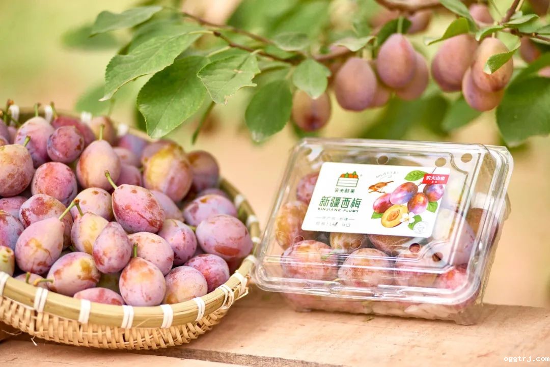 1630479664171086.jpg ia_100000009.jpg