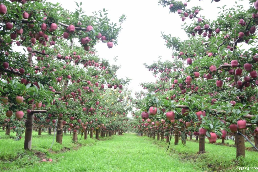 1630480976288905.jpg ia_300000653.jpg