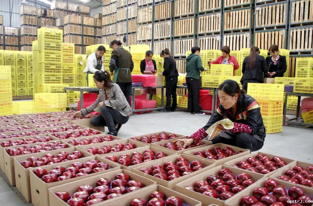 1630481026449414.jpg ia_300000656.jpg