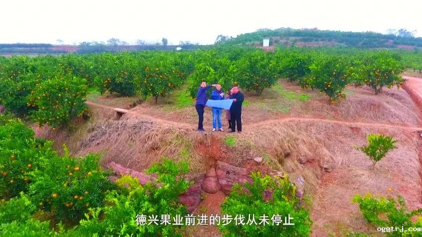 1630574931954671.jpg ia_400000021.jpg