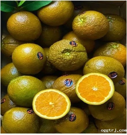 1630981473704517.jpg ia_300000020.jpg