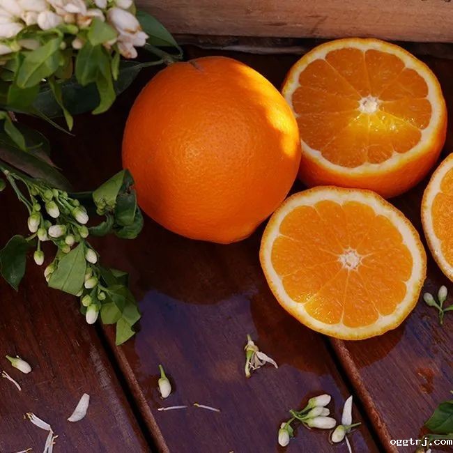 1630981504460548.jpg ia_300000022.jpg