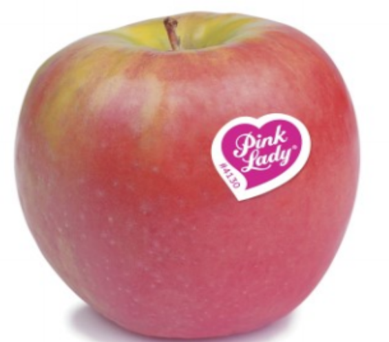 1630981743207166.png ia_300001174.png